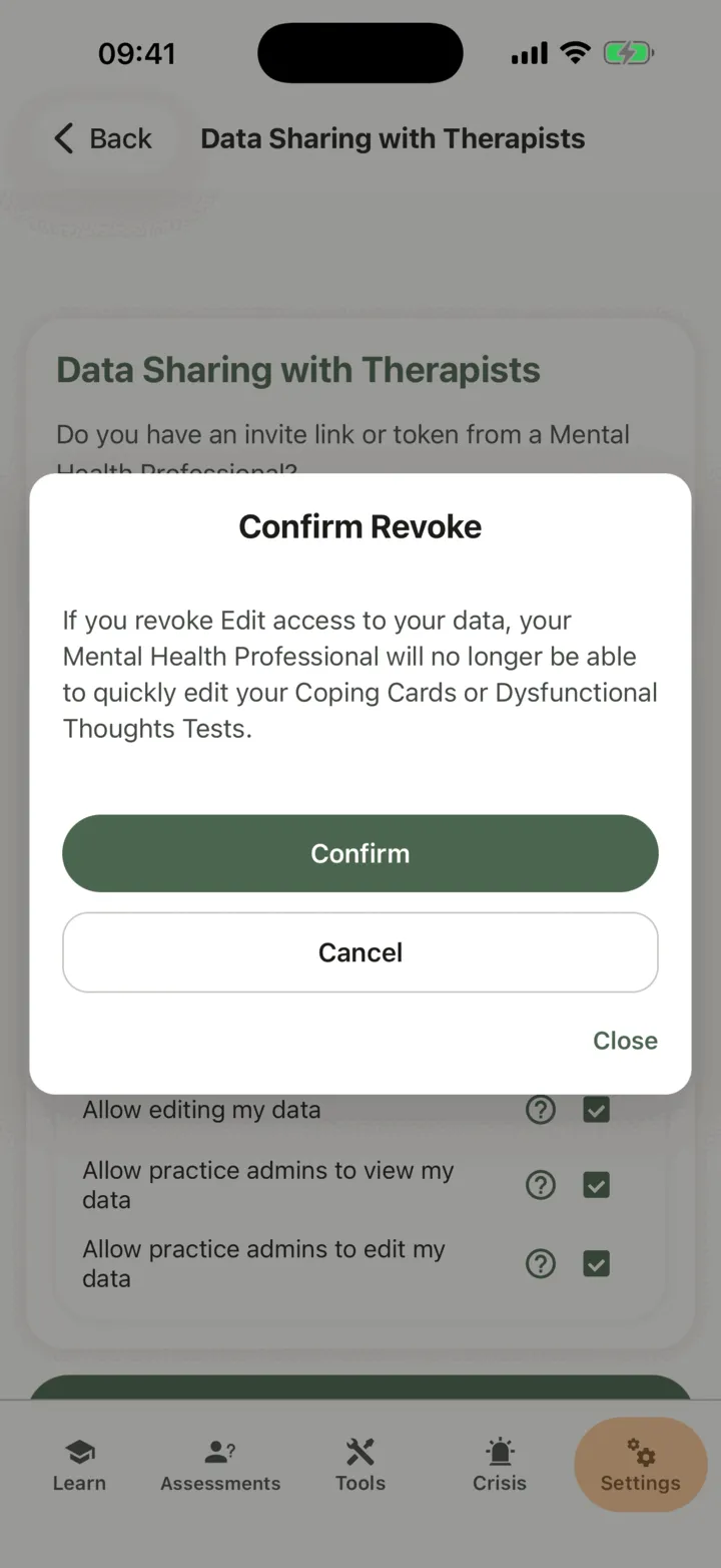 The Confirm Revoke question that appears when you switch an option off