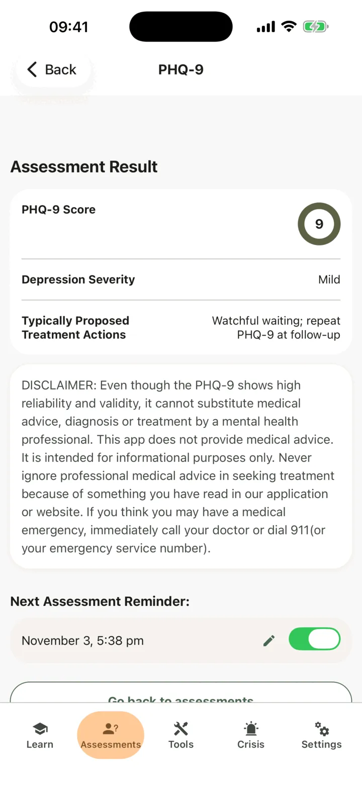 The PHQ-9 result with the typically proposed treatment actions, the note about professional advice and the next assessment reminder