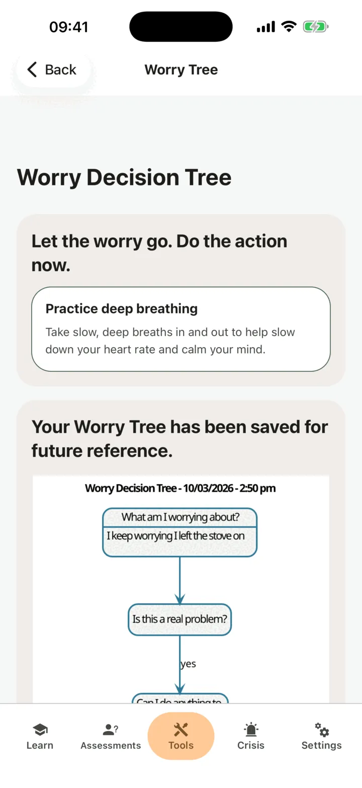 The last screen with the saved worry tree diagram